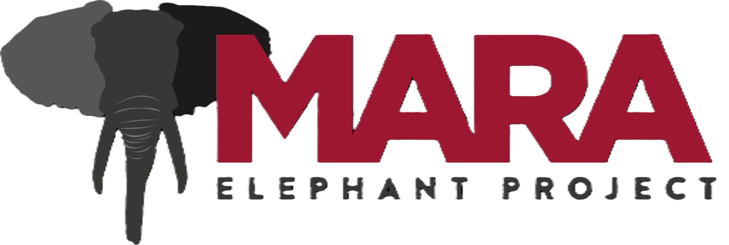 MEP Logo Dark Linear